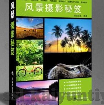 澳门赌场荷官分配筹码-澳门赌场荷官分配筹码，精准与效率的完美融合