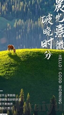 百度球探足球即时比分-深度揭秘,百度球探足球即时比分的幕后江湖与实用指南