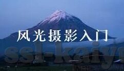 球探比分网足球既时比分-球探比分网足球即时比分,球迷的实时赛场指南针